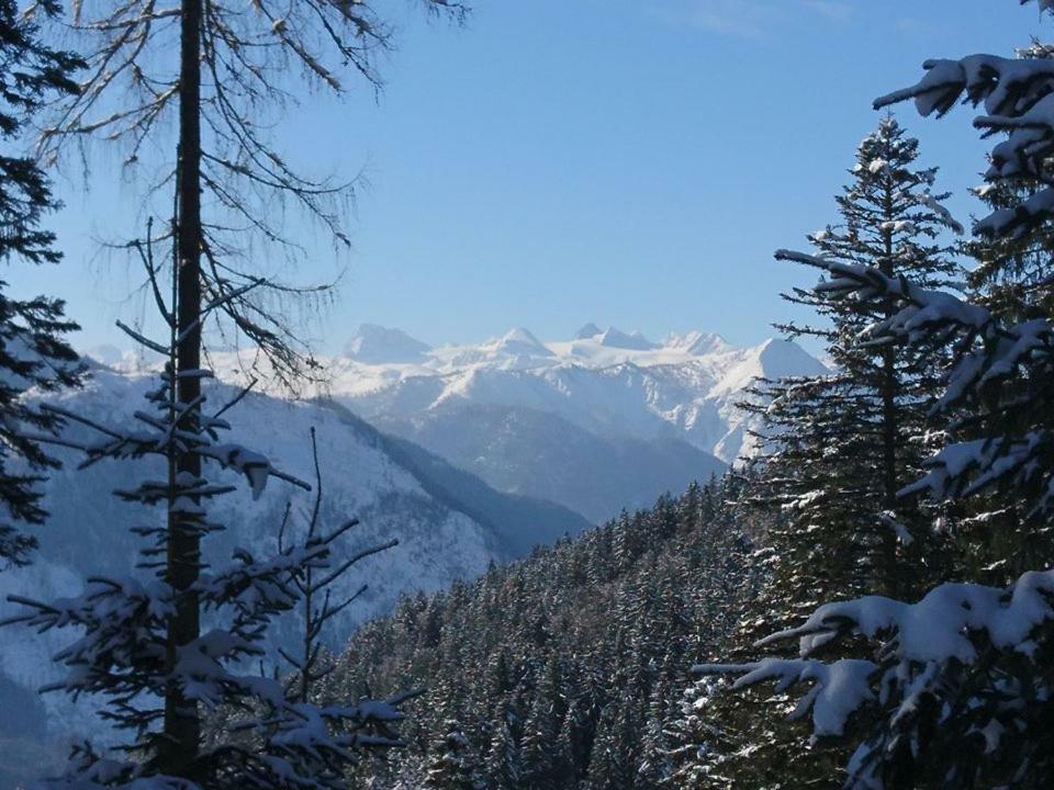 Sportpension Schober Obertraun Dış mekan fotoğraf