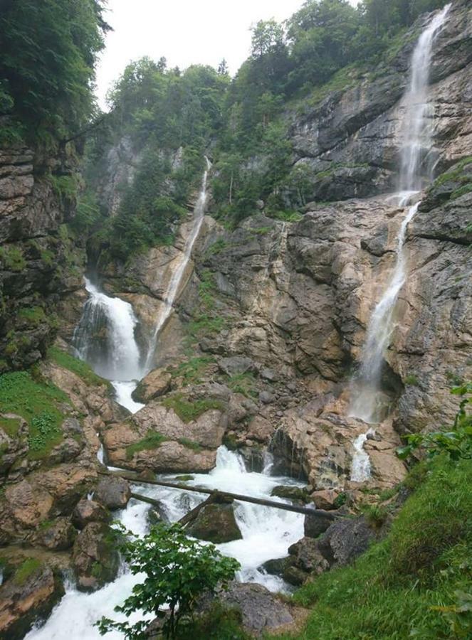 Sportpension Schober Obertraun Dış mekan fotoğraf