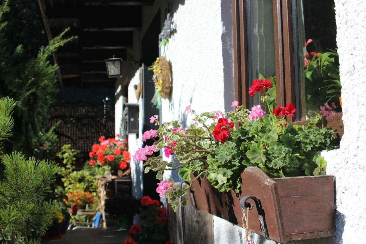 Sportpension Schober Obertraun Dış mekan fotoğraf